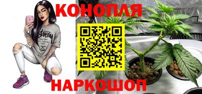 PSILOCYBIN Свободный