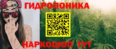 PSILOCYBIN Свободный