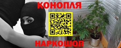 PSILOCYBIN Свободный