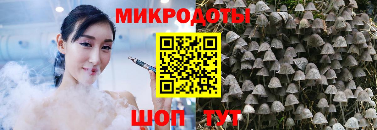 Псилоцибиновые грибы GOLDEN TEACHER Печора